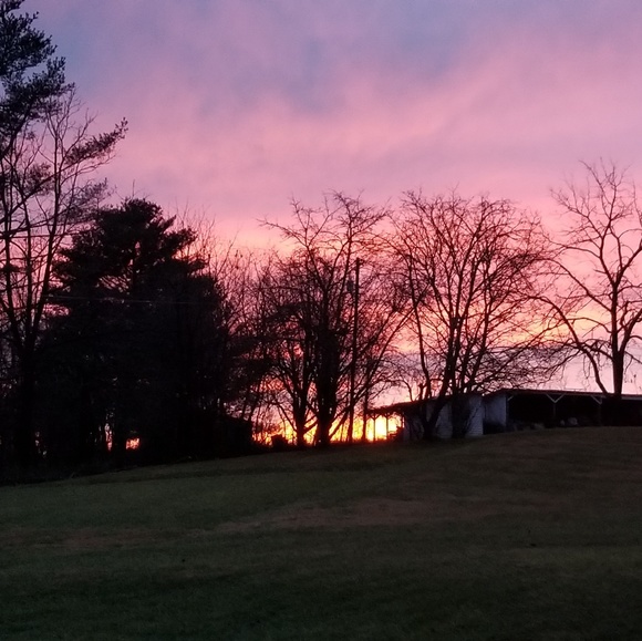 Meet your Posher, Wendy - Picture 1 of 1